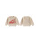 (18-24 Months, Beige) Παιδικό πουλόβερ, μακριά για κορίτσια-αγόρια 2