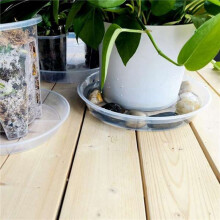 Lot de 8 Soucoupes Transparentes pour Plantes de 20,3 cm en Plastique Épais pour Pot de Fleurs pour Jardin Intérieur et Extérieur