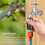 Drip Irrigation Pressure Regulator 25 PSI 3/4 Inch Hose Thread Drip Irrigation Pressure Reducer - 6 Pack 3