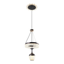 Modern LED Pendant Light Chandelier