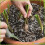 Vitax Perlite 10L - Volcanic Mineral Compost Additive for Drainage & Root Growth 2
