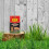 SBK Tree Stump Killer 250ml - Heavy Duty Glyphosate-Free Root & Sapling Destroyer 6