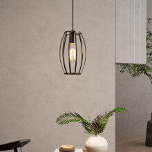 Single-Light Black Iron Pendant Light