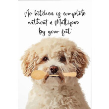 Poster mural Maltipoo – Décoration de cuisine style ferme, cadeau pour amoureux des animaux – Convient aux amoureux des Maltipoos