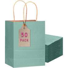 Lot de 50 sacs cadeaux en papier kraft bleu clair avec poignées, format moyen (28 x 21 x 11 cm), usages multiples.