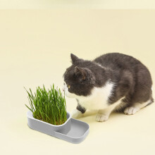 Hydroponic Cat Grass Grower Kit - Soil-Free Wheatgrass Planter with Detachable Tray for Indoor Cats' Digestive Health(Gray)