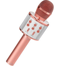 Karaoke Microphone with Speaker and Bluetooth