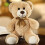 Ours en peluche doux de 35 cm 4