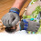 A9 Cut-Resistant Stainless Steel Mesh Gloves Professional 7