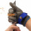 A9 Cut-Resistant Stainless Steel Mesh Gloves Professional 8