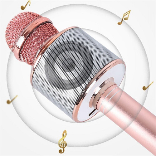 Karaoke Microphone with Speaker and Bluetooth 1