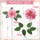 Valentine's Day Vase Decoration 12 cm 3