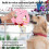 Peluche de conejo para perros: emite sonidos, es masticable, 3