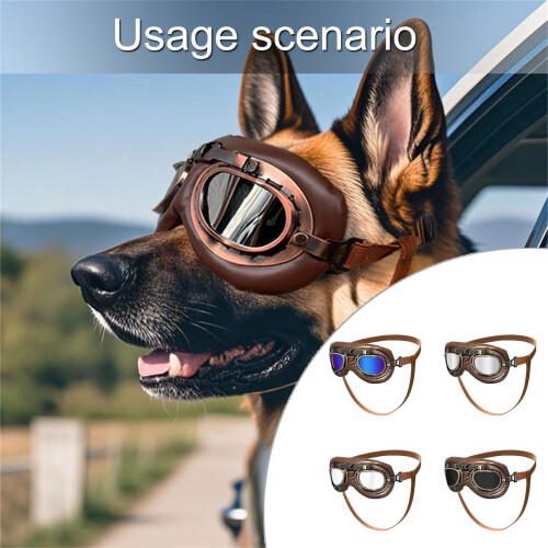 Retro-Hundesonnenbrille, ABS-Rahmen, PC-Gläser, 14 x 7 cm 1