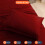 Egyptian Cotton Pillowcases Burgundy King 2-Pack 6