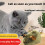 Interactive squeaky cat toy mouse with furry tail 1 piece 6