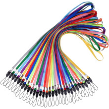 Lot de 30 cordons tour de cou colorés à dégagement rapide de 43 cm (17 pouces) pour clés USB, clés et badges d'identification – Couleurs