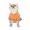 Πουλόβερ για γάτες – Απαλό ζεστό πλεκτό χειμερινό παλτό για γατάκια και μικρά 4