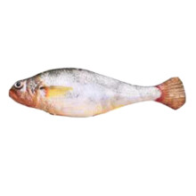 Flopping Fish Cat Leksak med automatisk rörelsesensor, USB-laddningsbar vickande plyschfiskleksak för inomhuskatter för att öka aktivitet och lek