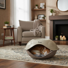 Actiaspet Cat & Dog Pet House Indoor & Outdoor