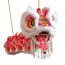 Lanterne fleurie artisanale avec tête de lion décorative – Kit DIY pour la décoration intérieure et les cadeaux du Nouvel An, rose, compatible