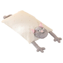Sensitive Skin Friendly Buckwheat Pillow With Cartoon-White