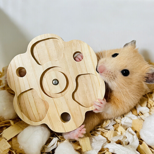 Grappige Spinner Windmolen Vogel Speelgoed Swingend Houten-Ster 2