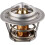 Flow Control Thermostat Replacement for Hayward H-Series 1