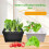 Hydroponic Growing Box For Indoor Gardening And-Black 4