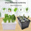 Hydroponic Growing Box For Indoor Gardening And-Black 5