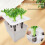 Hydroponic Growing Box For Indoor Gardening And-Black 7