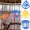 Automatic Bird Feeder Transparent PP Hollow Design for 2