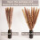 Dried Pampas Grass Arrangement 100PCS Bohemian Style Home 2