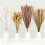 Dried Pampas Grass Arrangement 100PCS Bohemian Style Home 3
