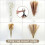 Dried Pampas Grass Arrangement 100PCS Bohemian Style Home 4