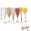 Dried Pampas Grass Arrangement 100PCS Bohemian Style Home 7