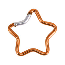 Locking Carabiner Aluminum Alloy Carabiner Hook Keychain Hook Clips Locking Carabiner Hiking Clip with Spring Locking
