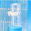 Automatic Bird Water Dispenser No Mess Parrot Feeder Automatic Bird Feeder Rabbit Watering System (B) 5