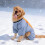 Katzen-Winterpullover, weich und warm, verstellbare Passform 4