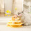 MU Cat ToysΠικάπ 3 επιπέδων με κυλινδρική ράγα και πολύχρωμες μπάλες – Διαδραστικό 5
