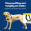 Arnés para perros Easy Walk – Martingale antitirones, clip frontal, 4