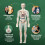 Human Body Structure Model Portable Skeleton Kit 1pc 5