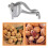 Stainless Steel Mini Citrus Juicer Handheld 1 Piece 4