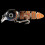 5.5cm Paddle Tail Shrimp Lure – 2 Pack 2