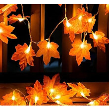 Cordão de luzes de fada com 20 LEDs, fio de cobre de 3 m, funciona a bateria.