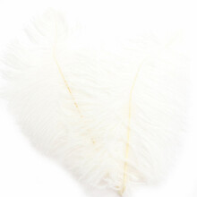 Ostrich Feathers for Wedding Decoration, Stage Clothing Accessory and Flower Arrangements, Diy Craft Feathers for Centerpieces and Costumes White