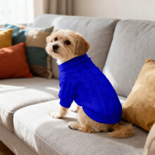 Gestrickter Hundepullover für kleine Rassen – Extra klein, 20 cm