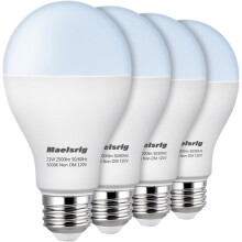 A21 LED-lamp Daglicht 5000K 21W 2500 Lumen 4-pack