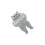 Staande Kitten Sculpture 3D-Gespierde kat die h vasthoudt 1