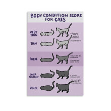Affiche sur l'état corporel des animaux, Tableau d'évaluation de l'état corporel du chat, Peinture sur toile murale